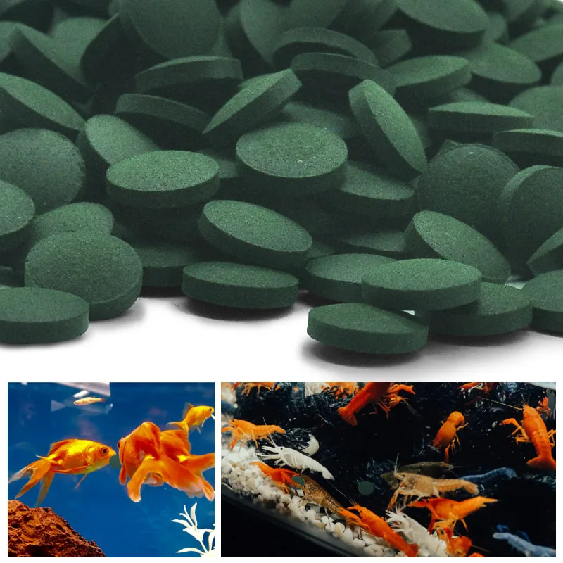 100 Spirulina Tablets for Aquarium Fish and Shrimp